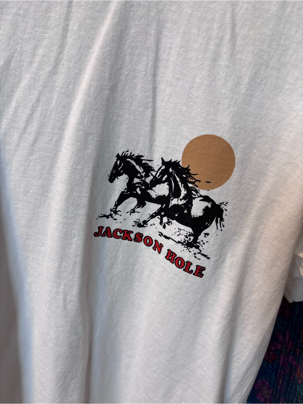 Diamond Cross Ranch Jackson Hole White Short Sleeve Horses Graphic Unisex Tee - Picture 7 of 9